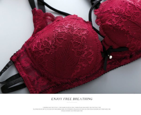 Push Up Padded Lace Bra And Panty Set Back Closure Seamless Lingerie Set 1801